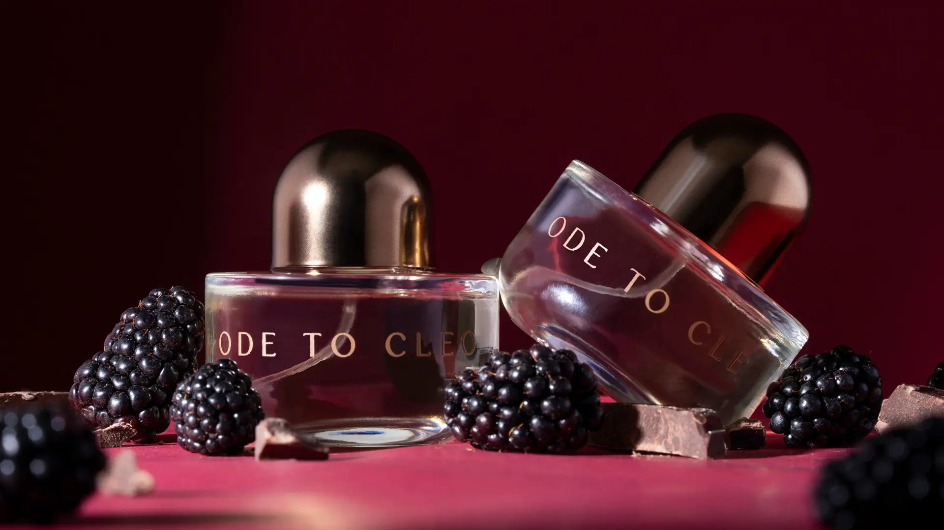 Meet Ode to Cleo: The Newest Addition to the Butterfly Series