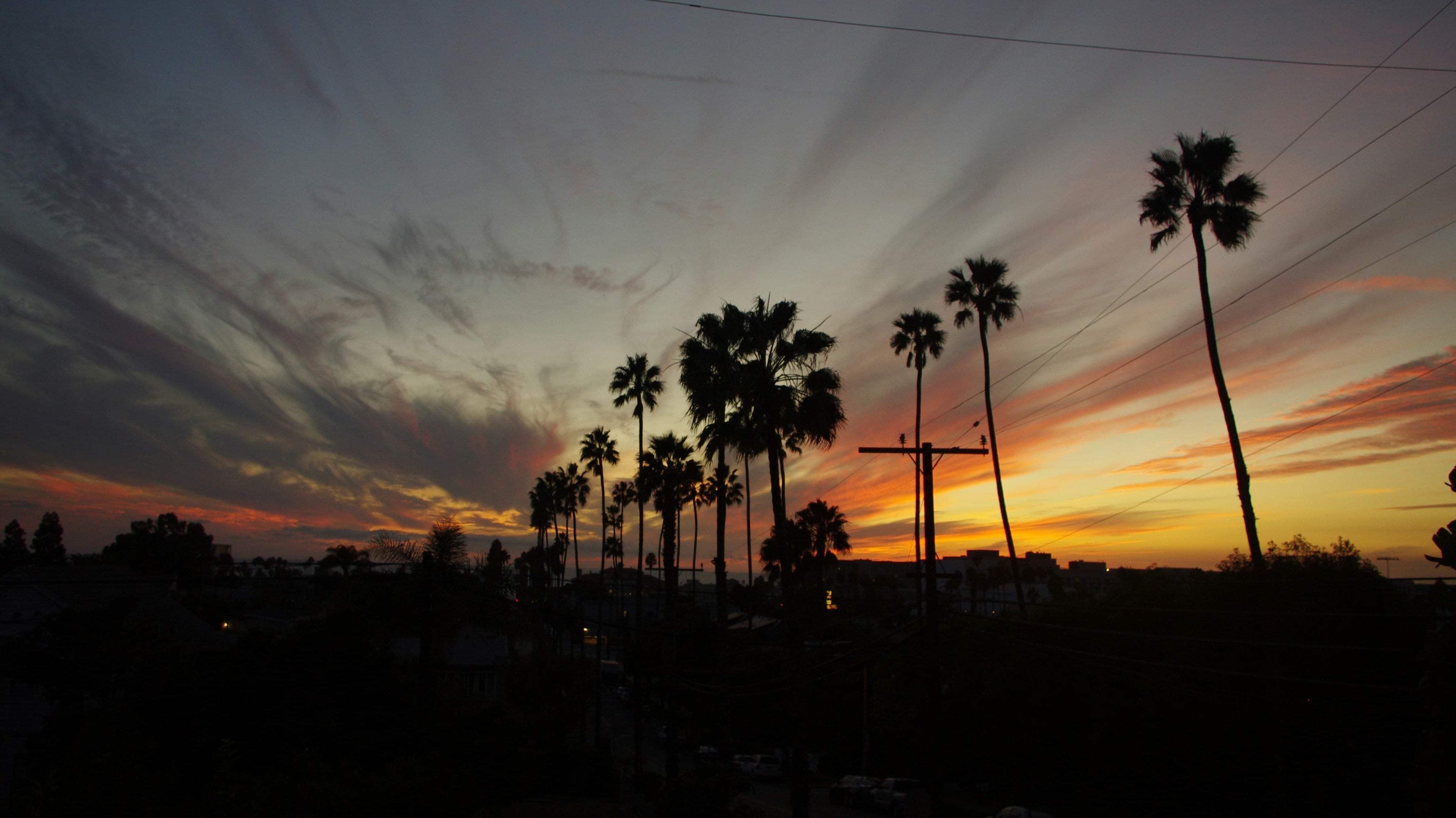 The Best Scent Notes to Wear at Night