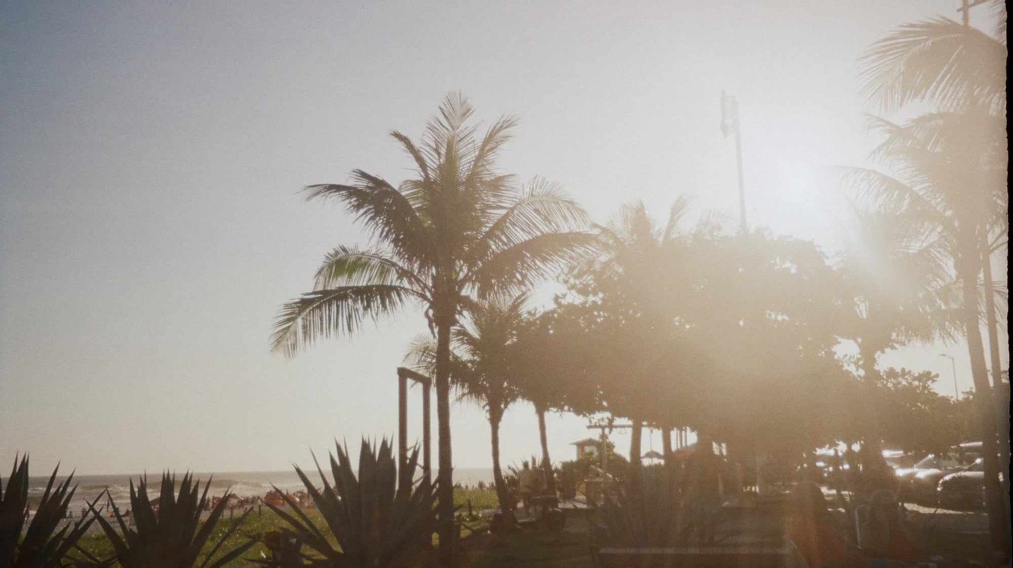 The Best Perfumes to Wear to the Beach
