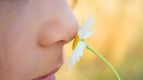 Connecting Emotion + Sense of Smell - DefineMe