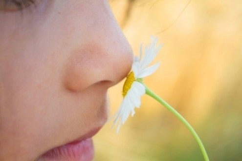 Connecting Emotion + Sense of Smell - DefineMe
