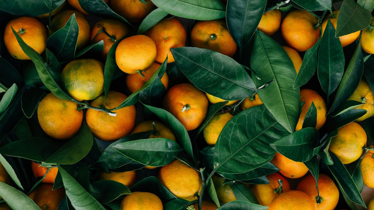 Notes We Love: Mandarin