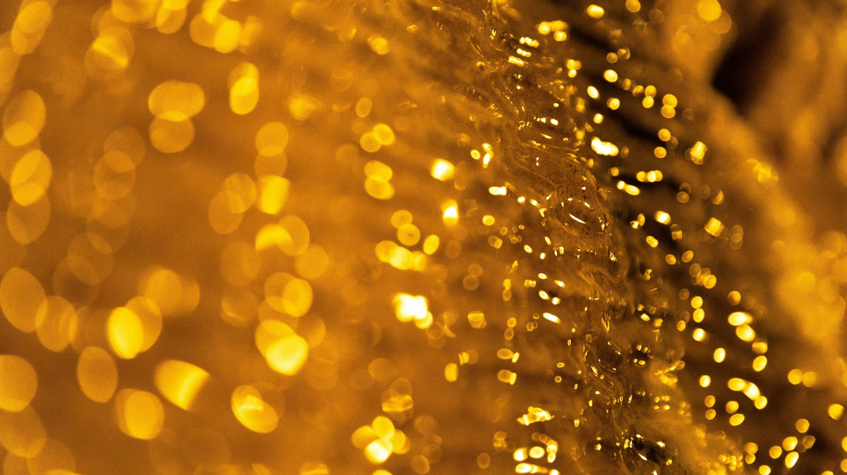 The Allure of Amber: Fall's Coziest Fragrance Note Explained