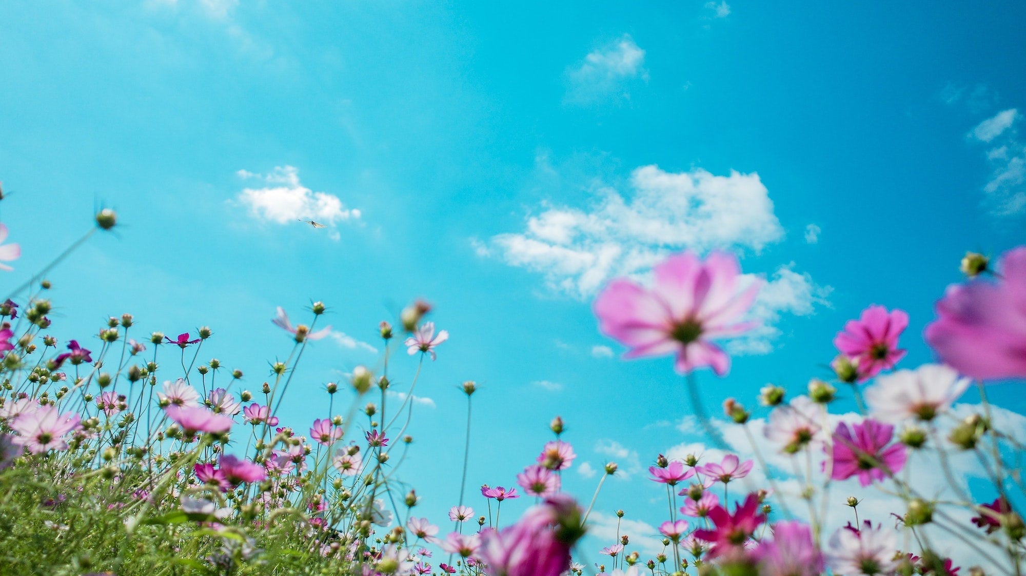 NEW! Introducing Our Spring Box🌸 - DefineMe