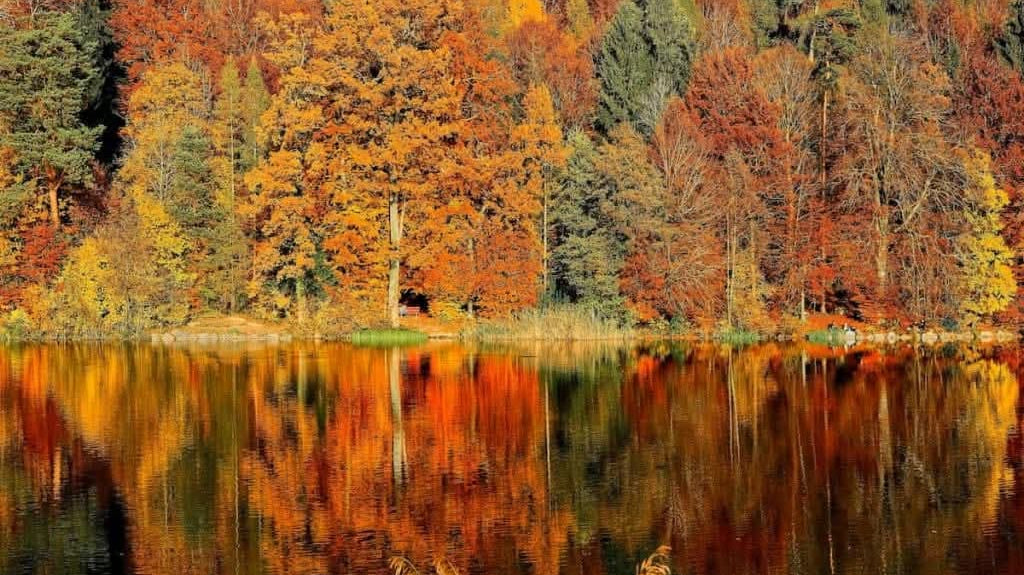 Why Fall Makes Us Want to "Start Fresh" (And How Scent Plays a Role)