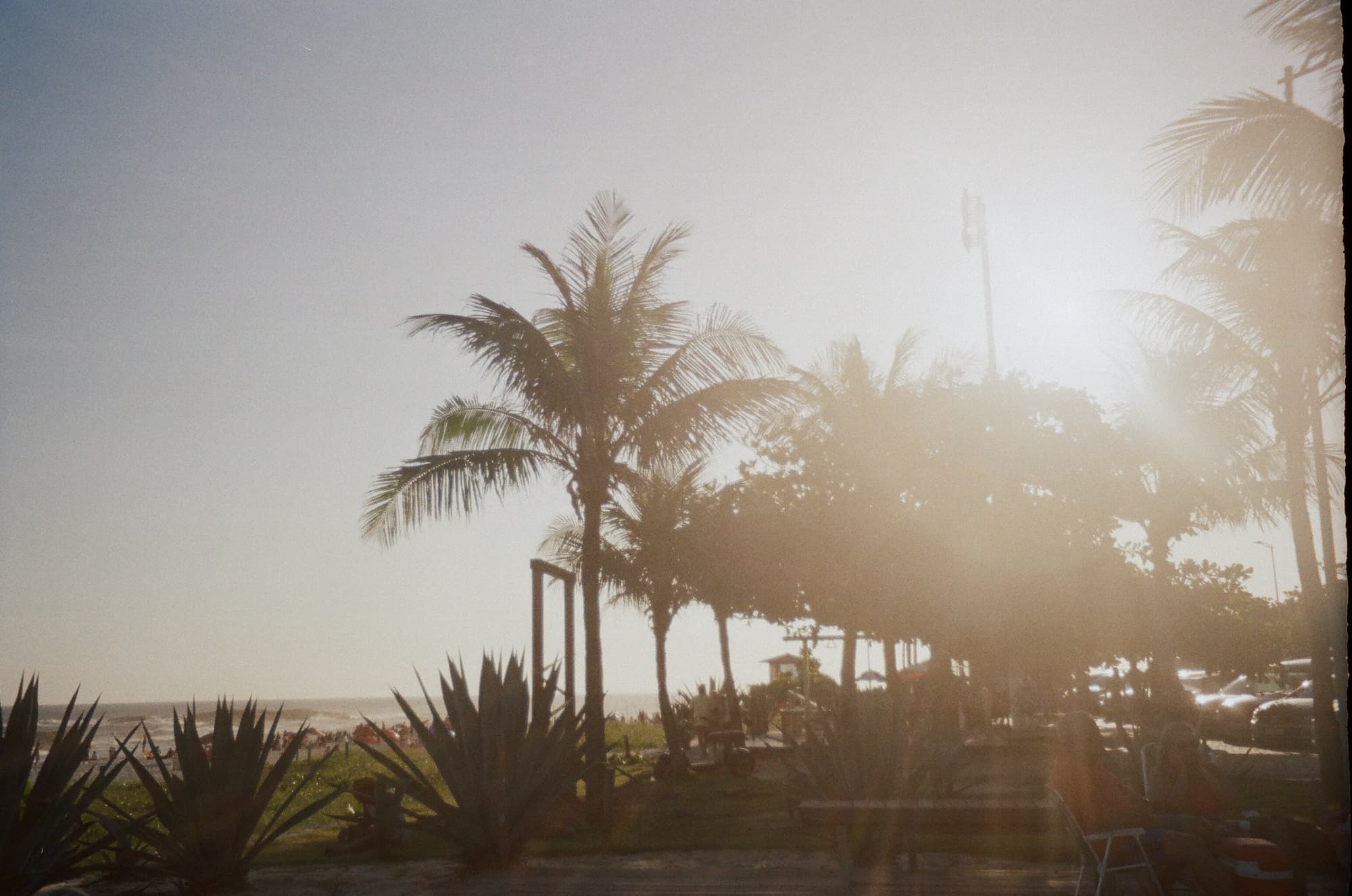 The Best Perfumes to Wear to the Beach