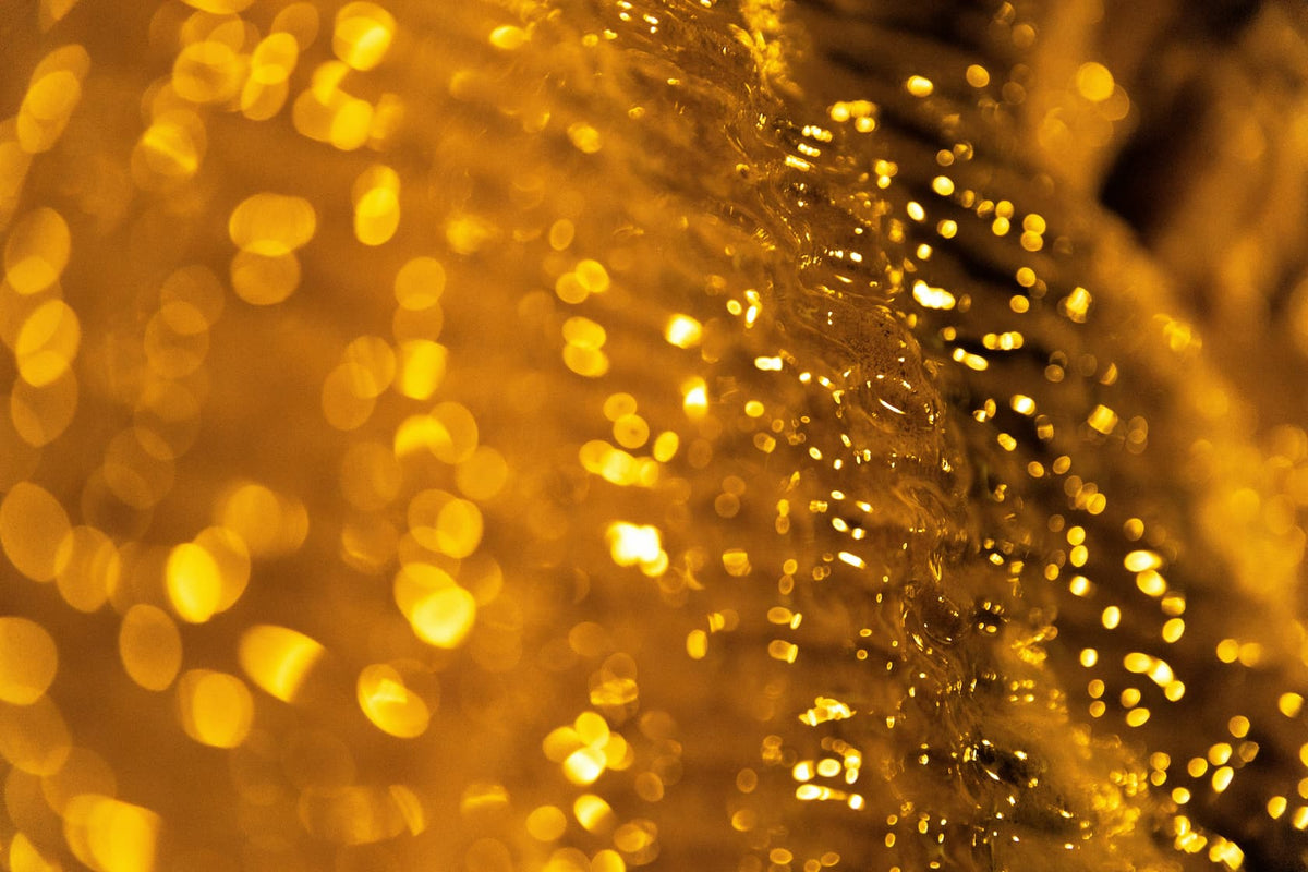 The Allure of Amber: Fall's Coziest Fragrance Note Explained
