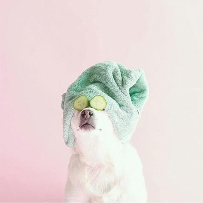 Treat Yourself with an At-Home Spa! 🛀💕 - DefineMe