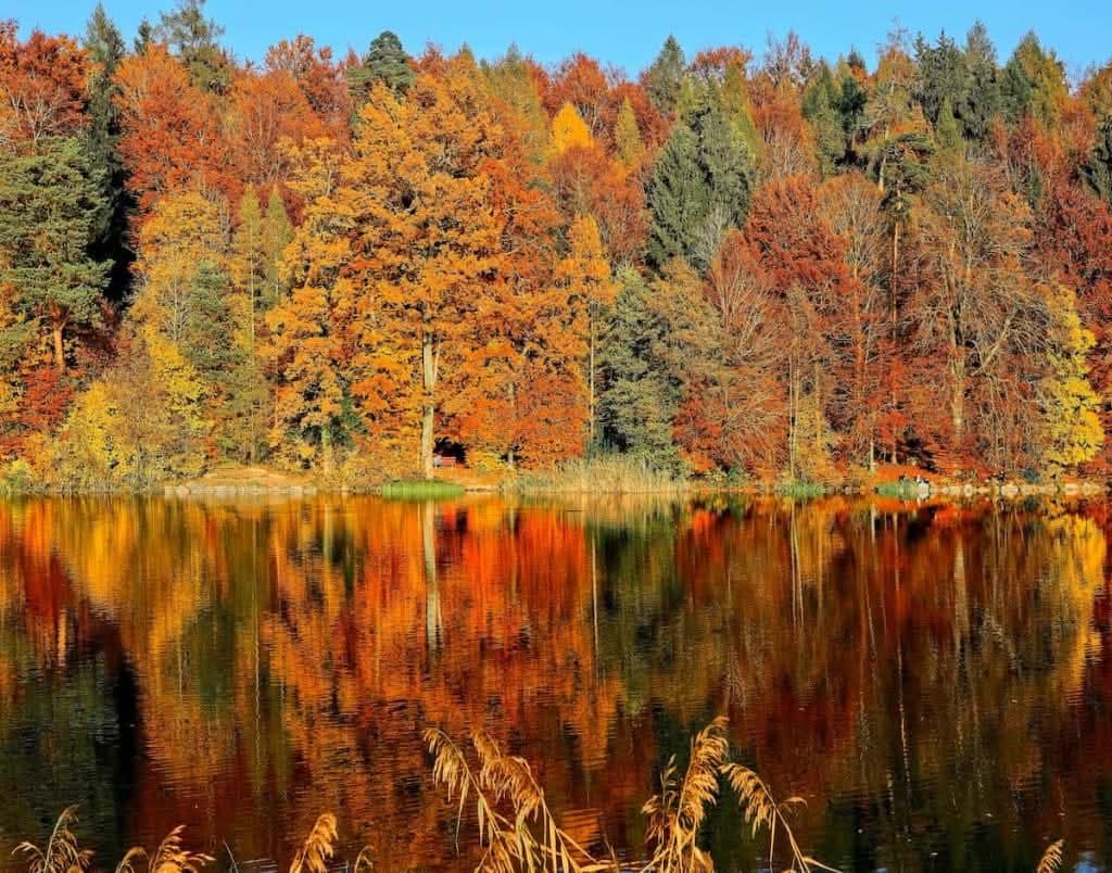 Why Fall Makes Us Want to "Start Fresh" (And How Scent Plays a Role)