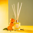 DefineMe Sofia Isabel - Citrine Crystal Infused Reed Diffuser